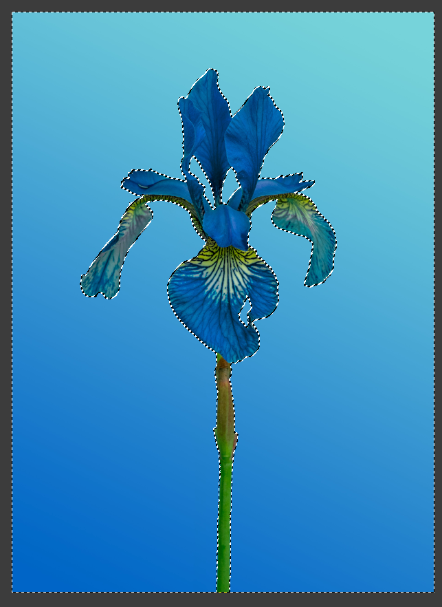 shift를 누른 채 배경만 선택