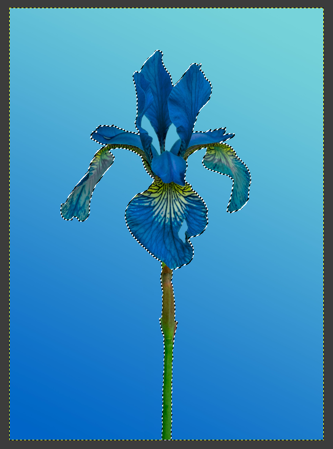 `Ctrl+I`로 선택 반전하여 꽃을 선택