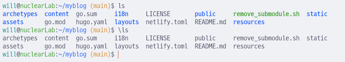 `ls`와 `\ls`의 차이
