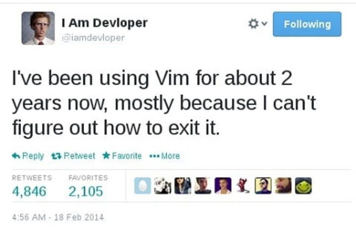 [vim을 탈출하지 못해 2년째 사용중인 개발자의 안쓰러운 tweet](https://programmerhumor.io/programming-memes/always-worth-the-investment-in-the-learning-curve/)